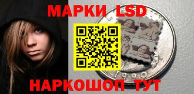 гидра Волгодонск