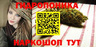 гидра Волгодонск