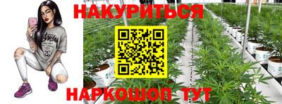 гидра Волгодонск