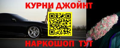 гидра Волгодонск