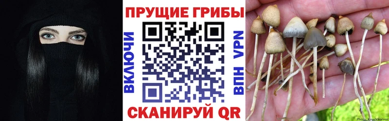 Галлюциногенные грибы Magic Shrooms  Усолье-Сибирское 