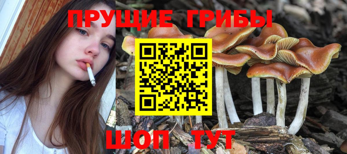 Псилоцибиновые грибы MAGIC MUSHROOMS Усолье-Сибирское