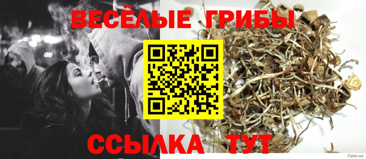 Галлюциногенные грибы прущие грибы Усолье-Сибирское