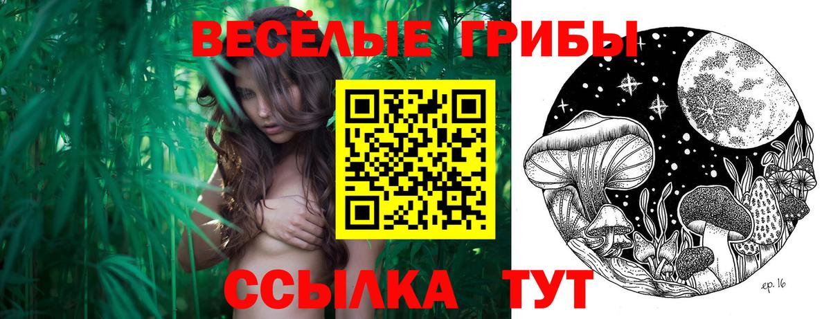 Галлюциногенные грибы MAGIC MUSHROOMS Усолье-Сибирское