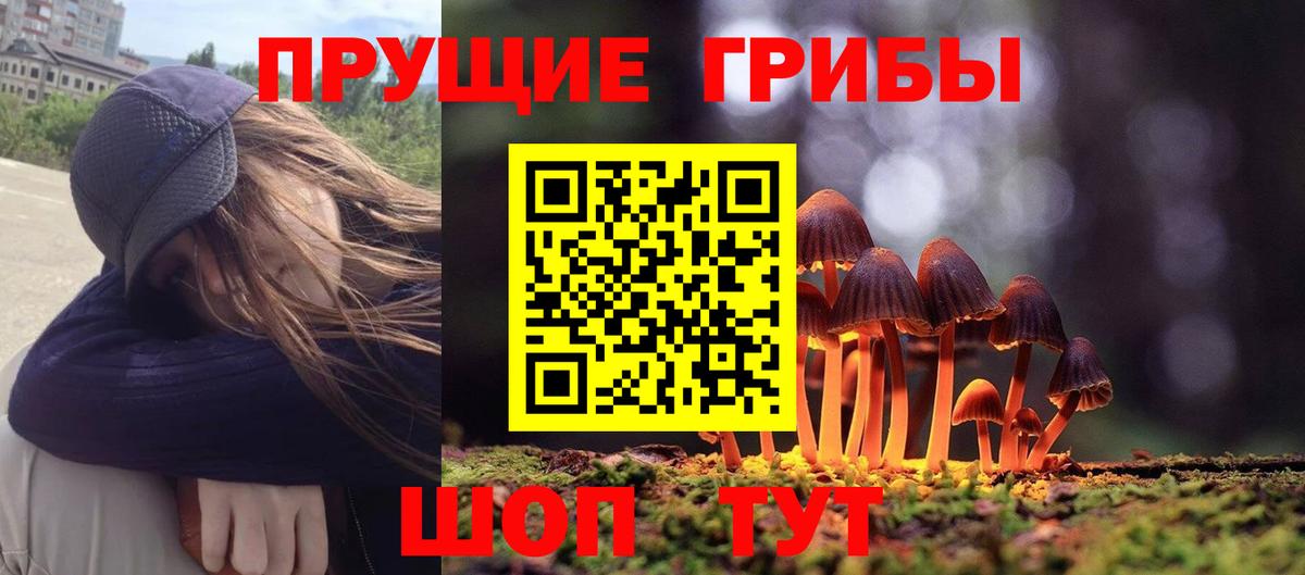 Усолье-Сибирское  Псилоцибиновые грибы Magic Shrooms  Вход с VPN 