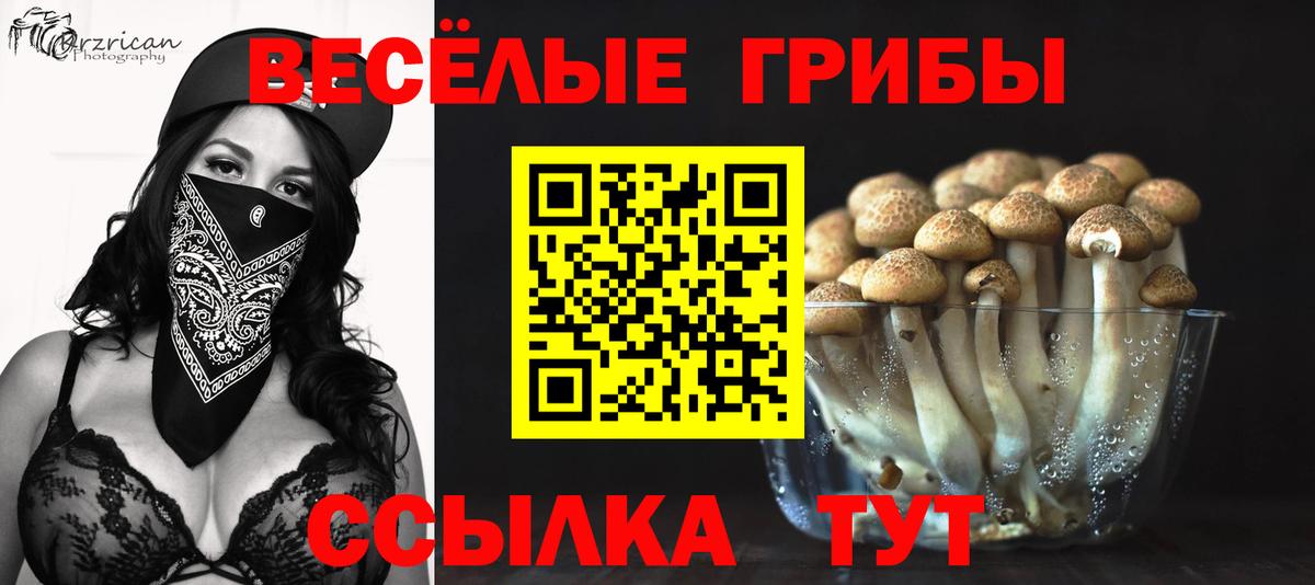 Галлюциногенные грибы прущие грибы  Галлюциногенные грибы ЛСД  Усолье-Сибирское 